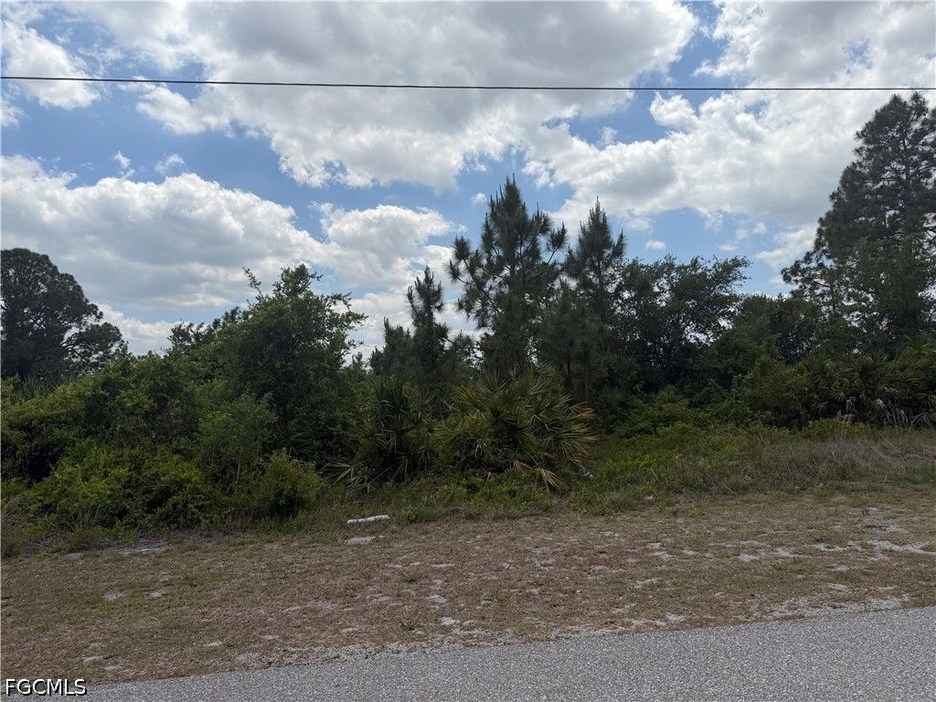 1249 Galileo St E, LEHIGH ACRES