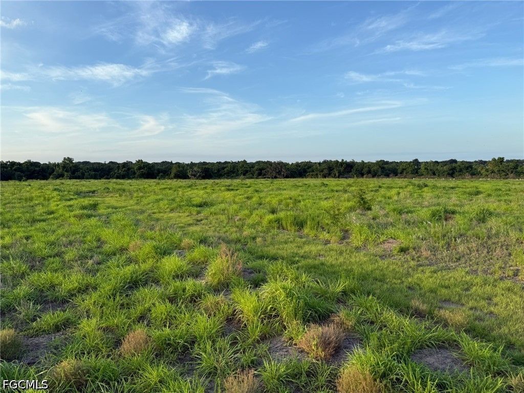 1445 S Florida Ave, WAUCHULA