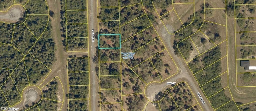 611 Trumpet Dr, LABELLE