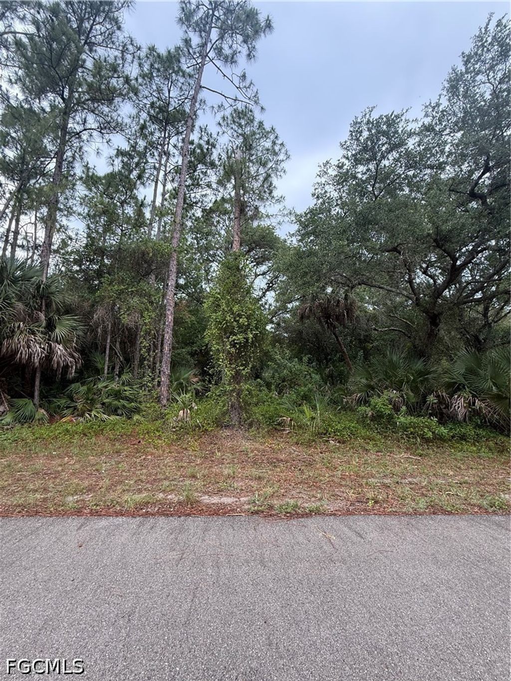 1659 Lake Ave, LEHIGH ACRES