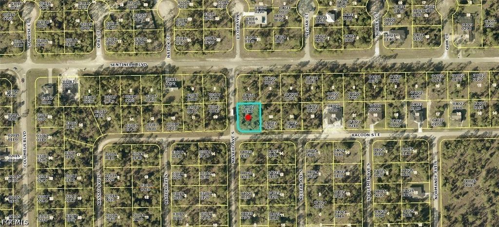 1223 Racoon St E, LEHIGH ACRES