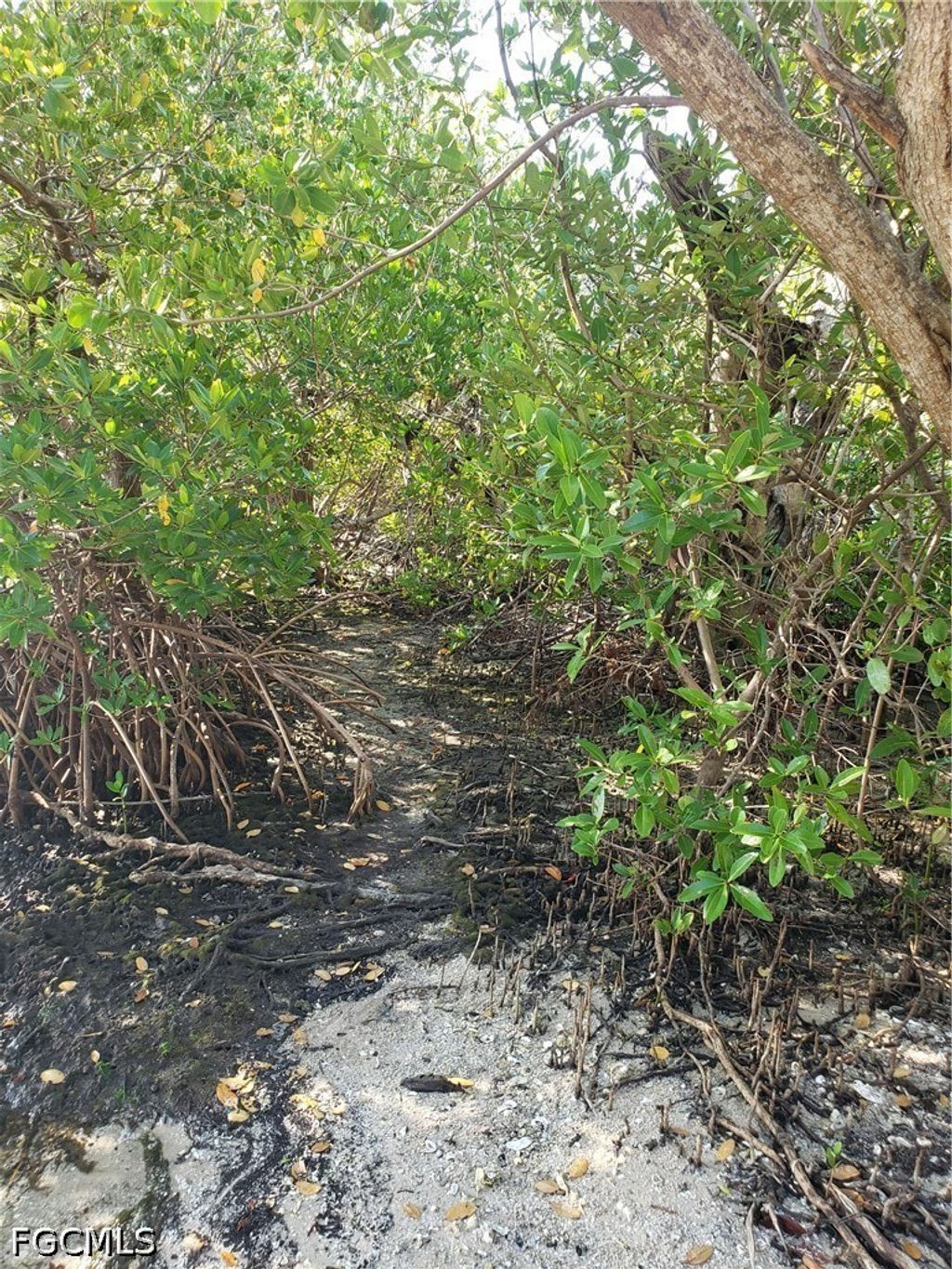 Tbd Masters Landing Dr, St James City