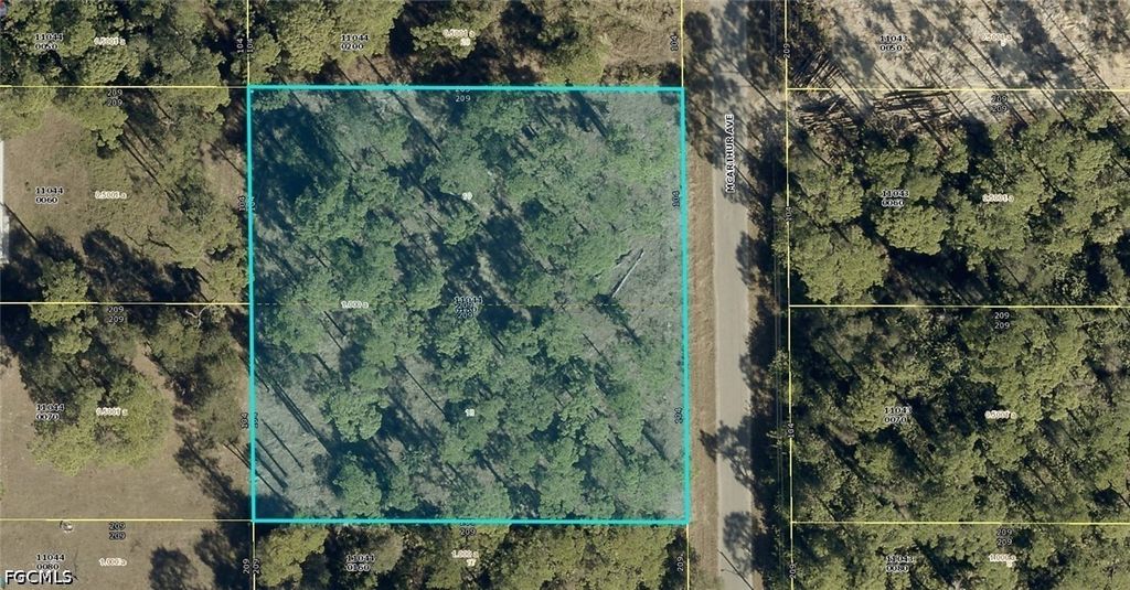 1911 Mcarthur Ave, LEHIGH ACRES