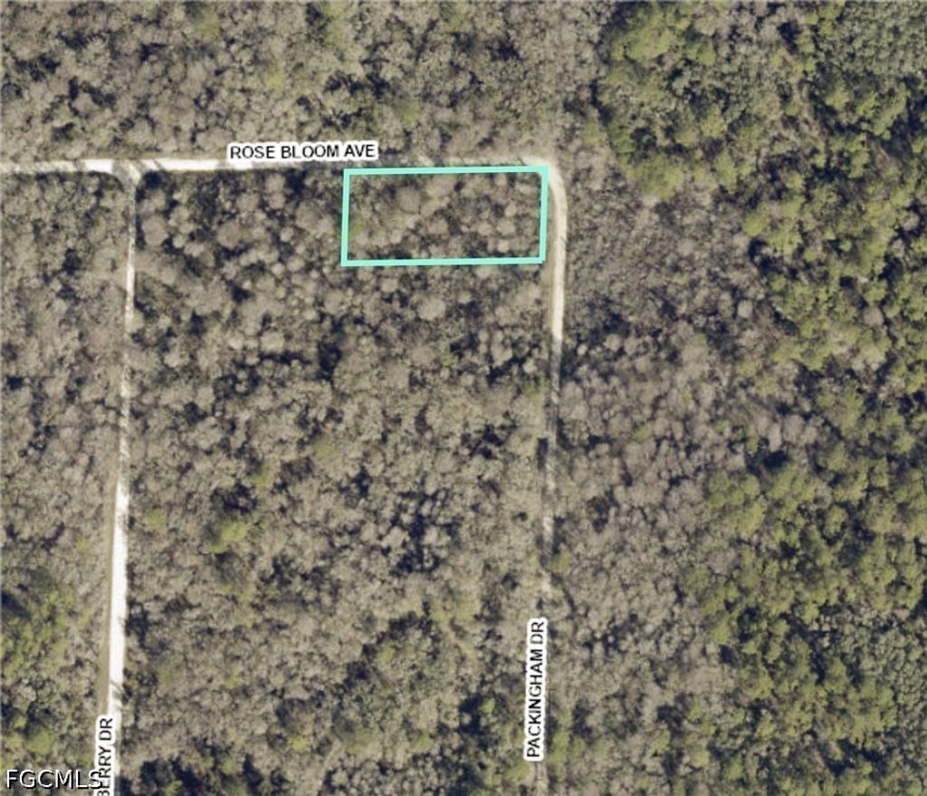 33464 Packingham Dr, WEBSTER