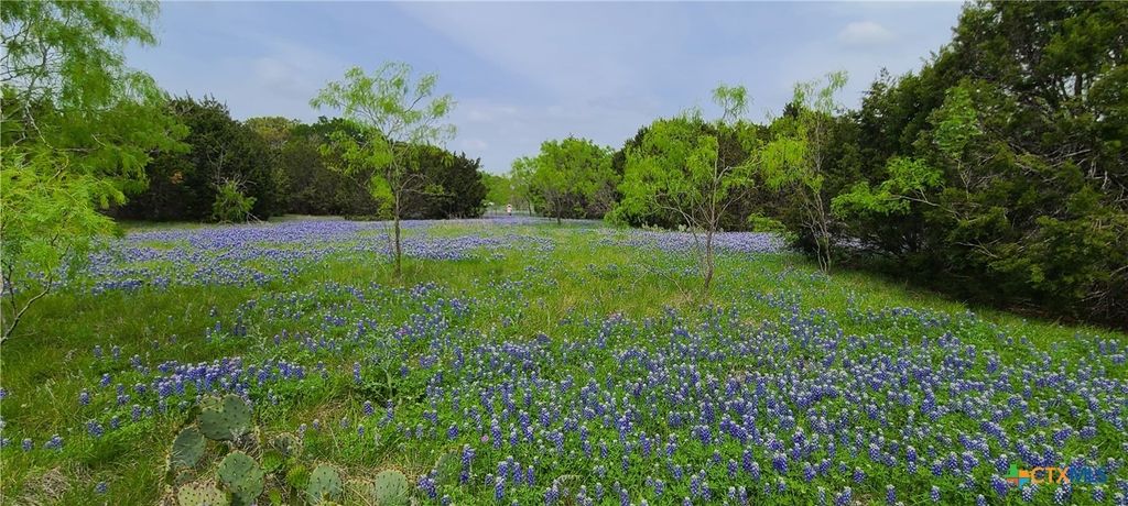 Tbd Us Highway 190 E, Kempner
