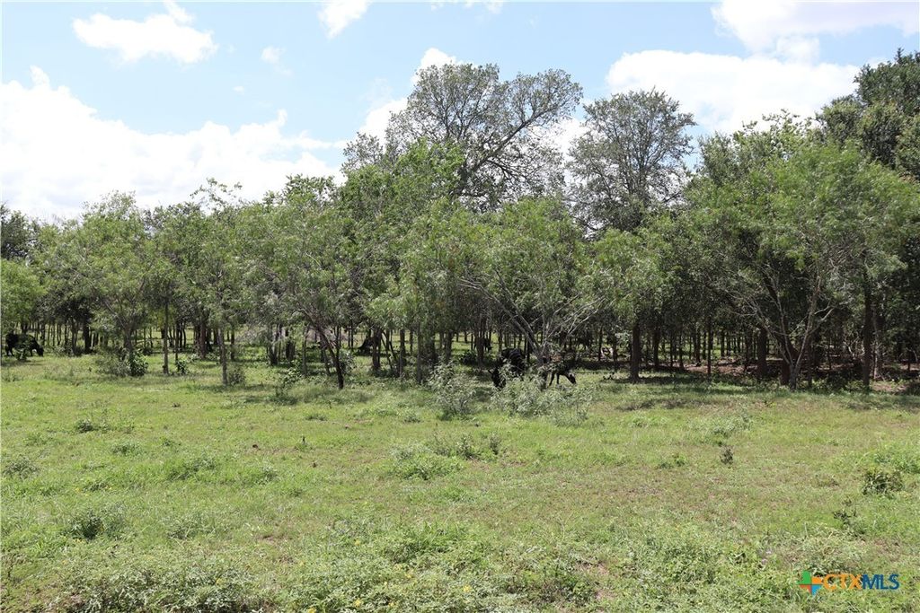 1220 Brushy Branch Road, Lockhart