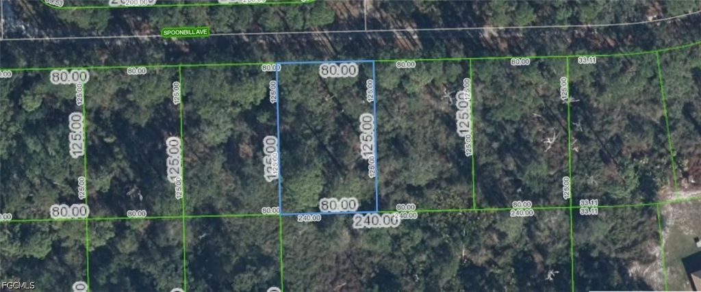 3224 Spoonbill Ave, Lake Placid
