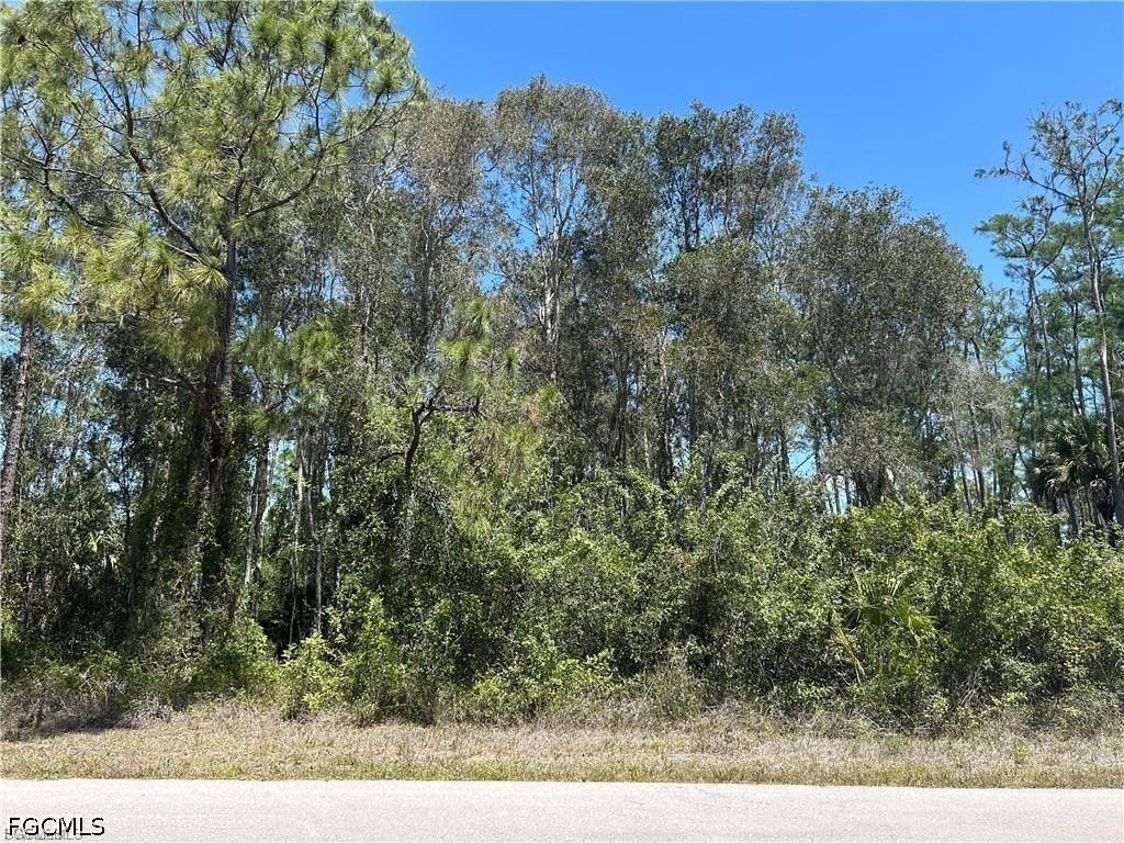665 Knapp St, Lehigh Acres