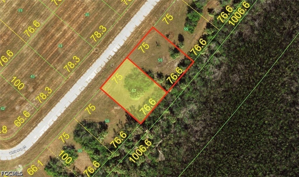 13441 Whitefish Ct, PLACIDA
