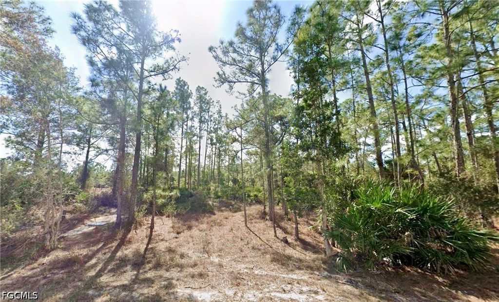339 Mines St, Lehigh Acres