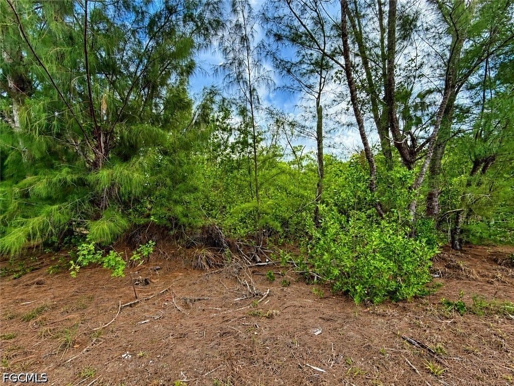 12370 Sherwood Rd, Bokeelia