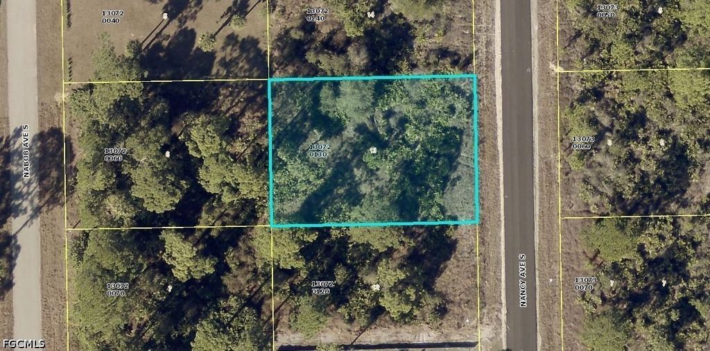 240 Nancy Ave S, LEHIGH ACRES