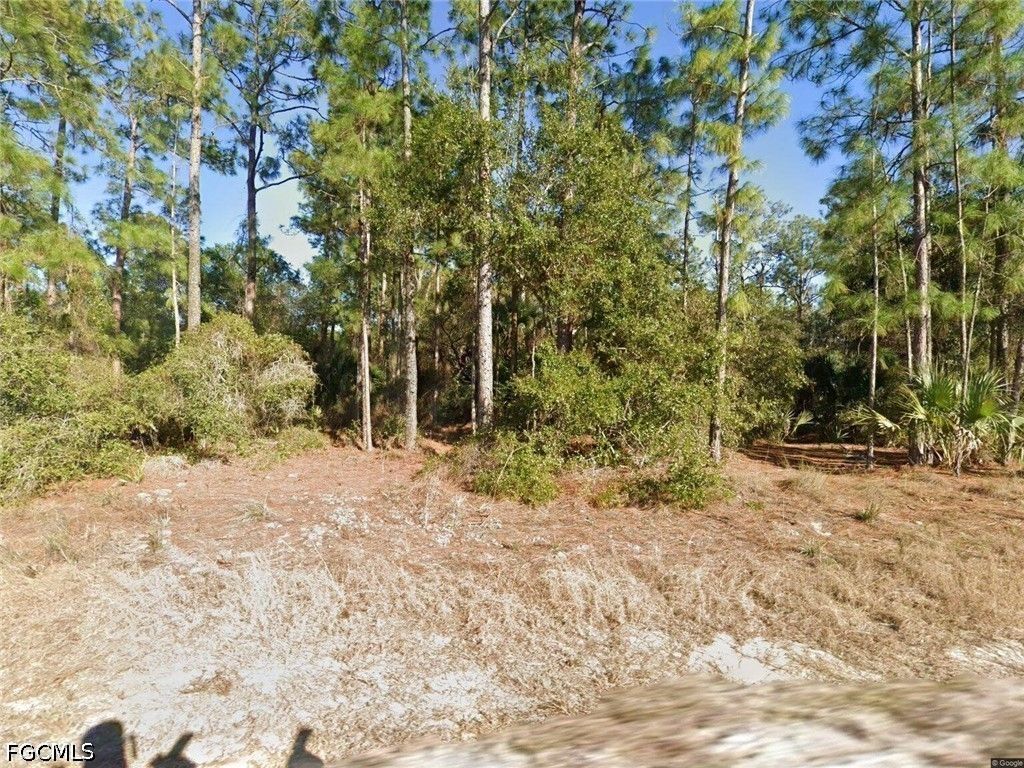 1676 Palmetto Ave, LEHIGH ACRES