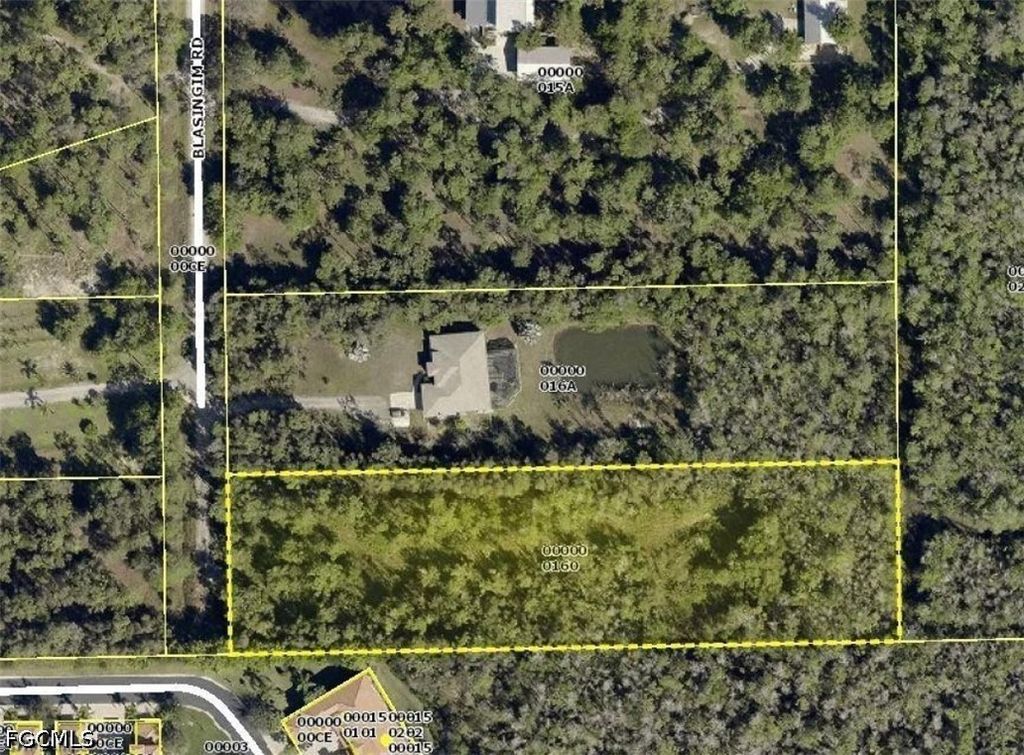 12491 Blasingim Rd, Fort Myers