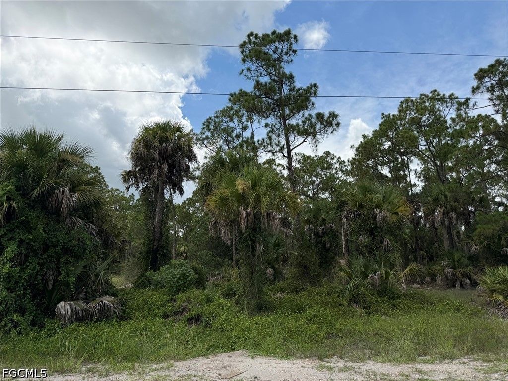1723 Palmetto Ave, LEHIGH ACRES
