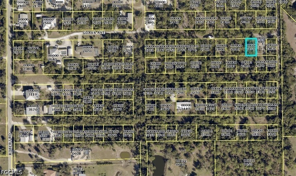 Guava Ave, BOKEELIA