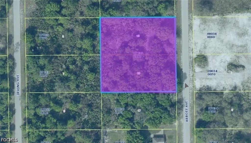 1011 Abbott Ave, Lehigh Acres