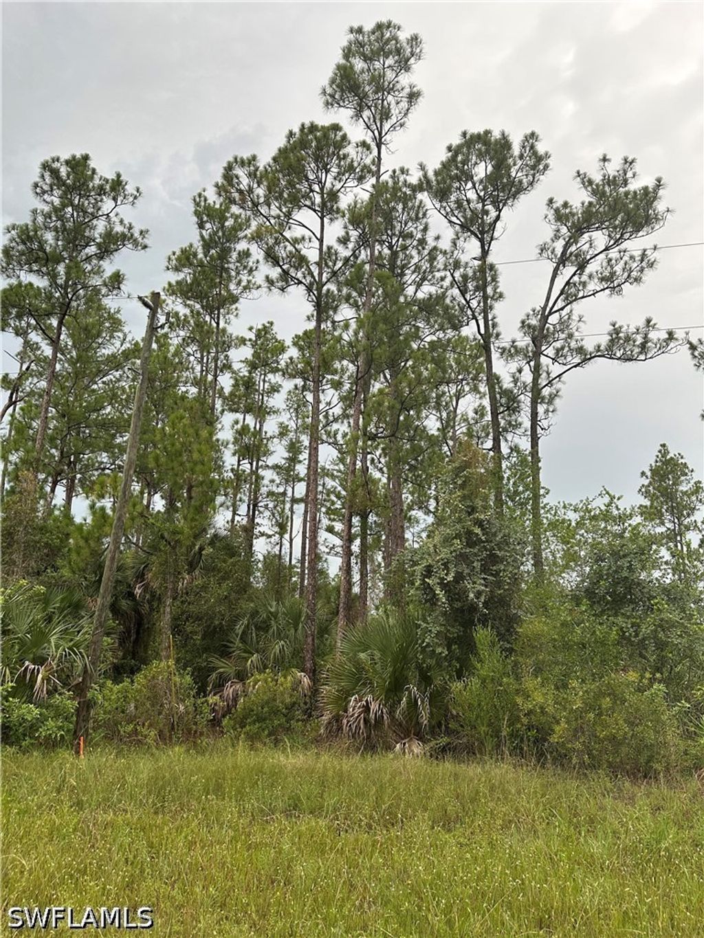 373/375 Greenbriar Blvd, Lehigh Acres