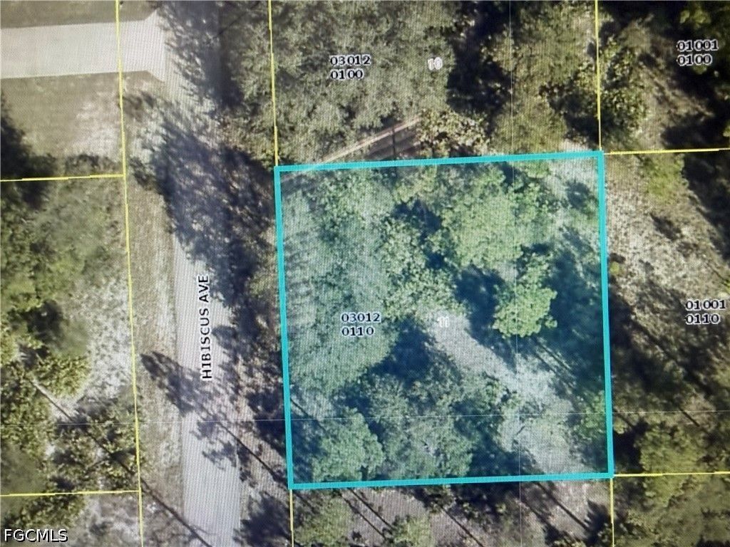 1602 Hibiscus Ave, Lehigh Acres