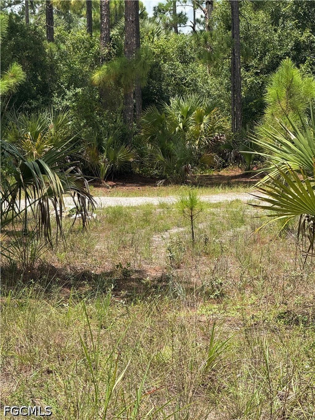 1011 Truman Ave, LEHIGH ACRES