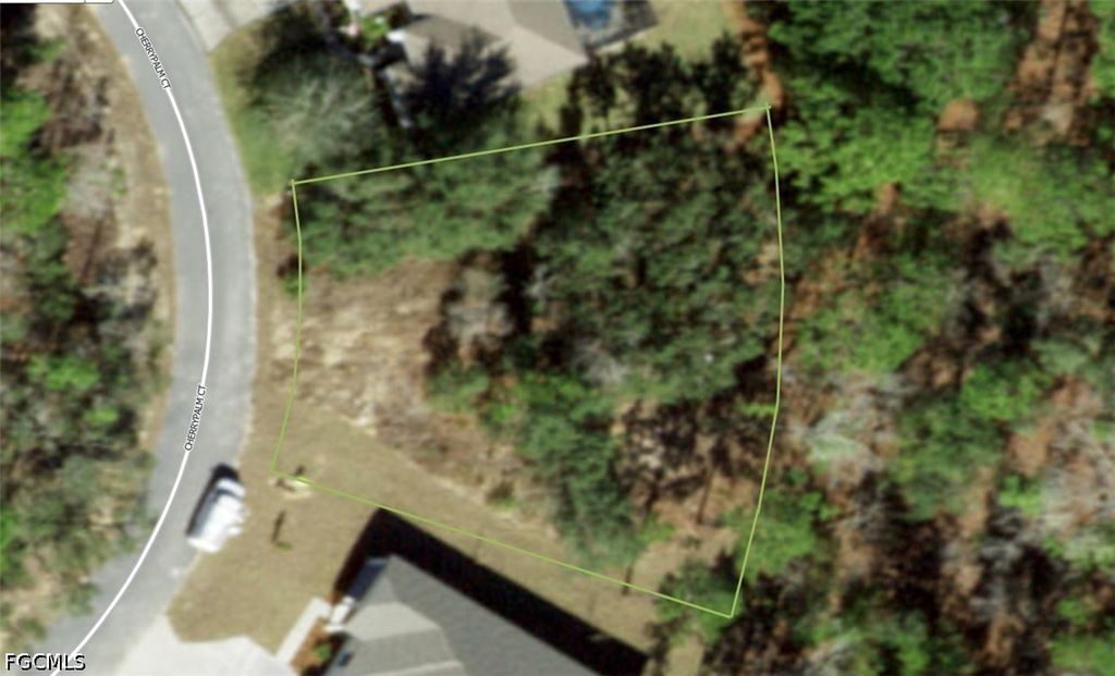 33 Cherrypalm Ct, Homosassa