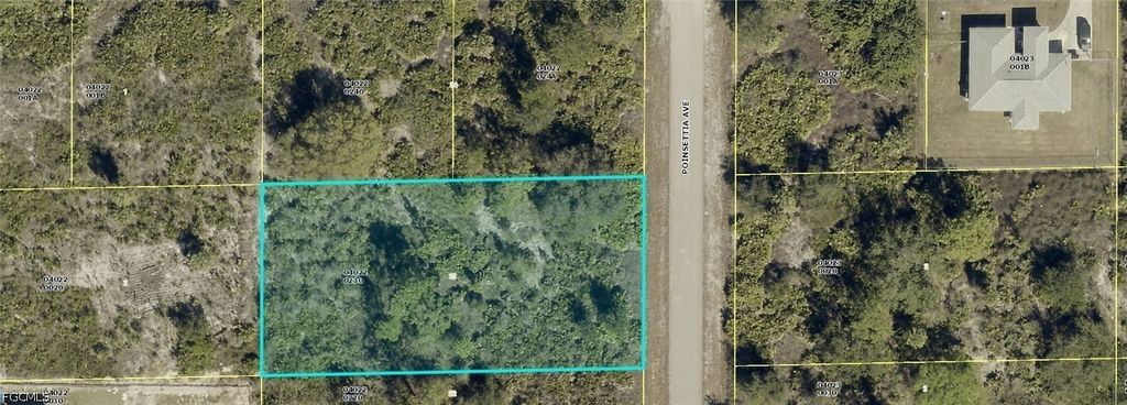 1321 Poinsettia Ave, LEHIGH ACRES