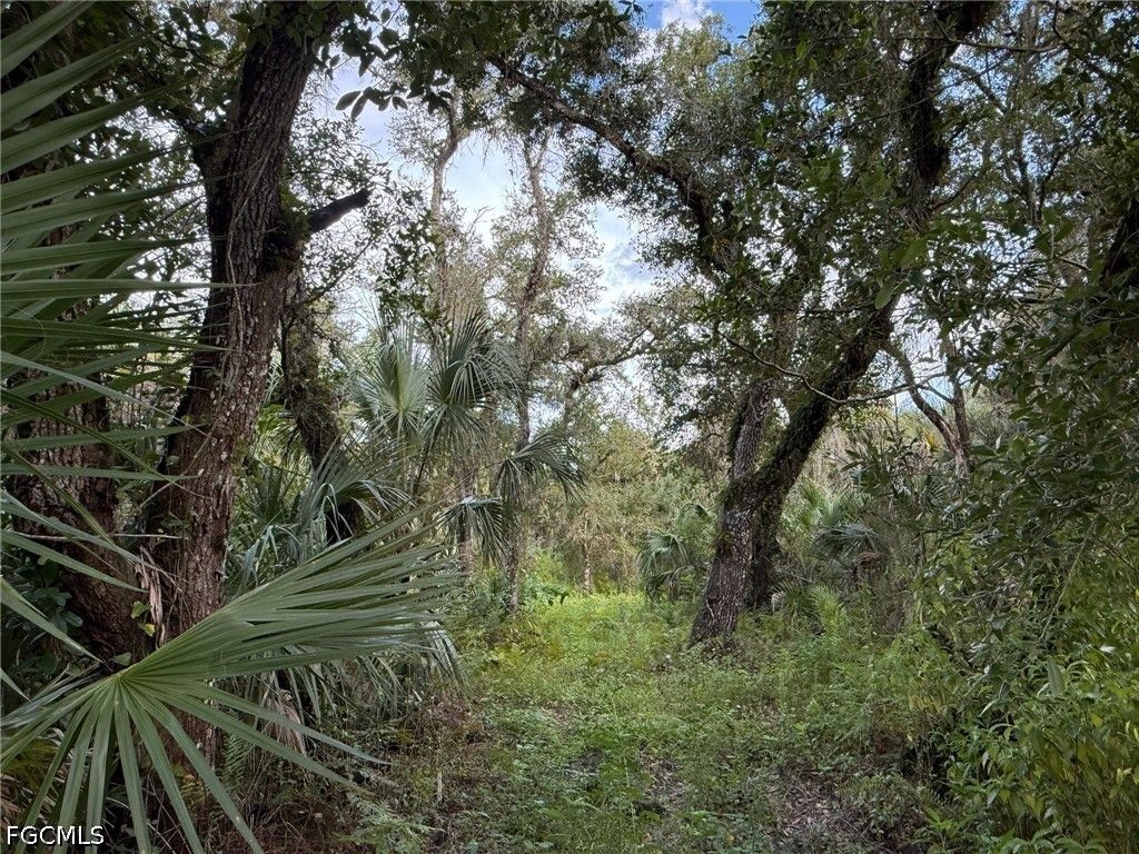 43026 L28 Canal Rd, IMMOKALEE
