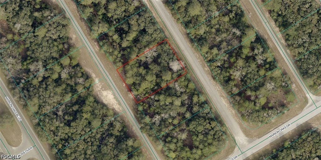 8001-0252-13 Alley Rd, Ocala