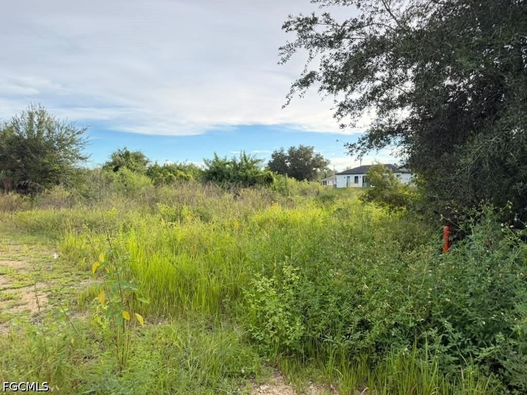 4700 Diane Ave S, Lehigh Acres