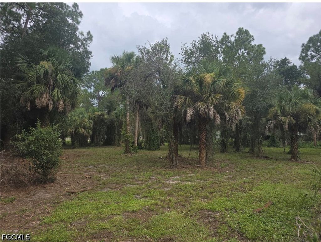 1175 Flamingo Ave, Clewiston