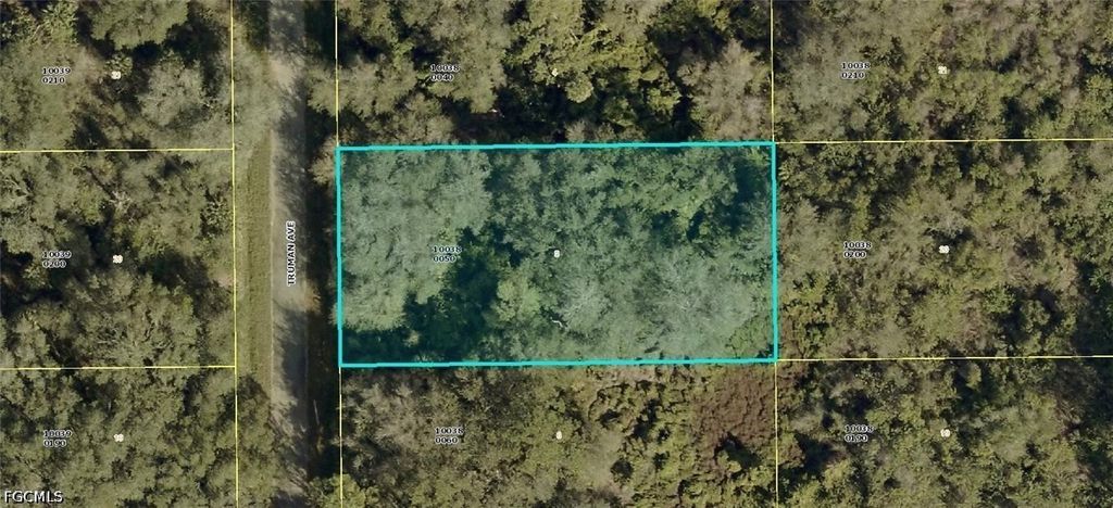 1514 Truman Ave, Lehigh Acres