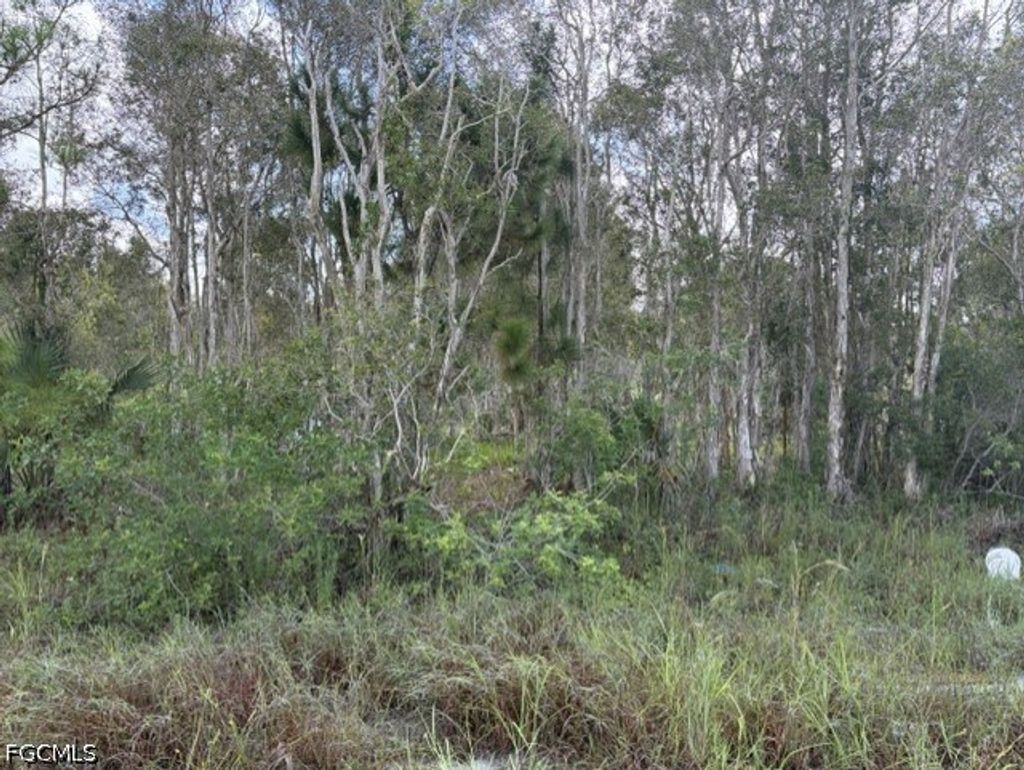 721 Bluebird Ave, Lehigh Acres