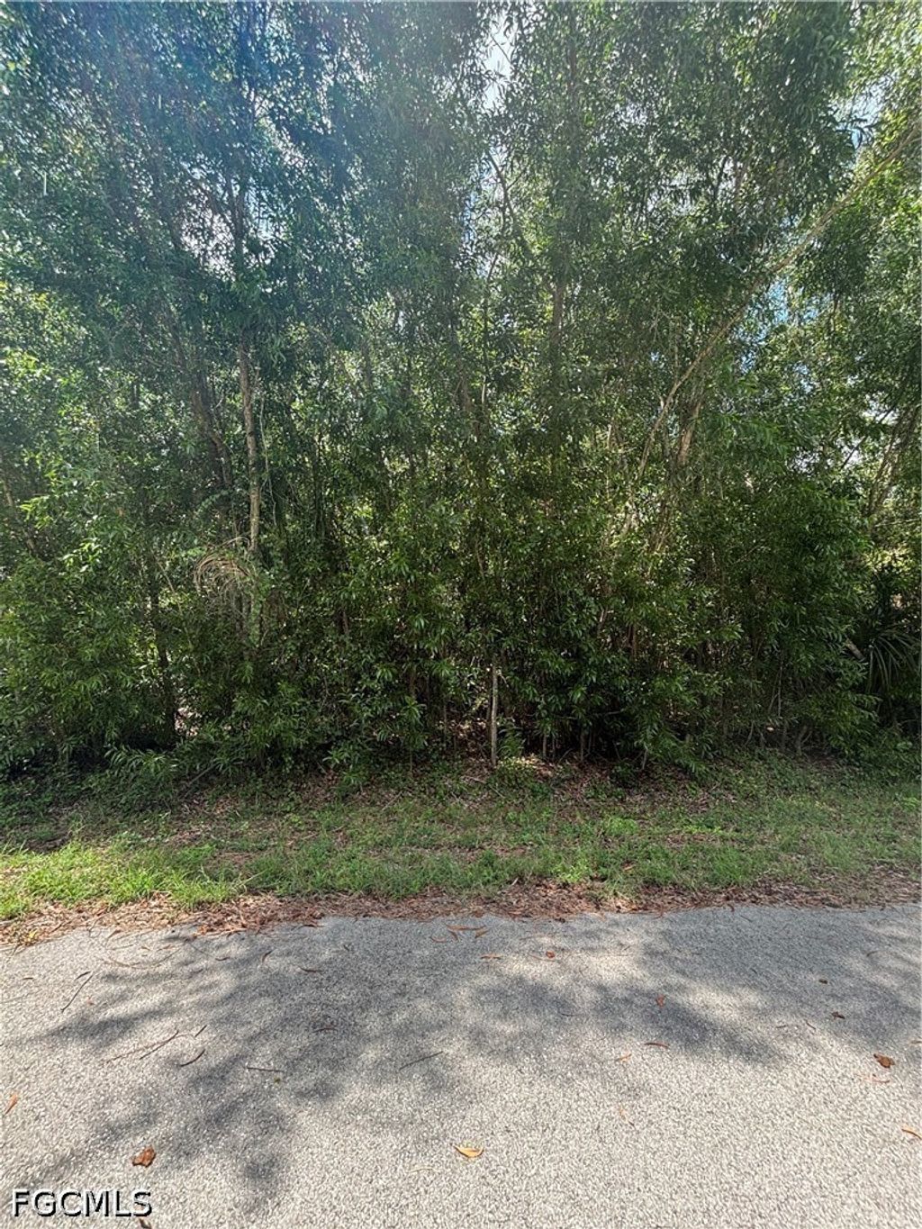 411 Grant Ave, LEHIGH ACRES