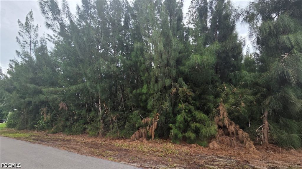 1121 Nw 24th Pl, CAPE CORAL