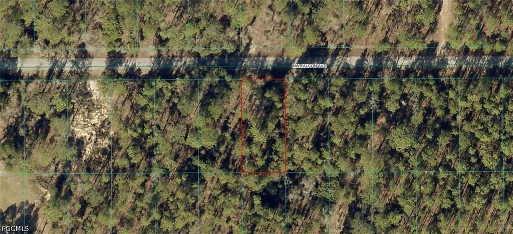 1814-022-016 Nw Falcon Ave, DUNNELLON