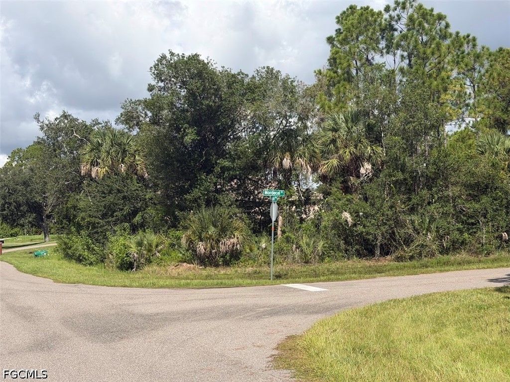 115 Mordecal St, Port Charlotte