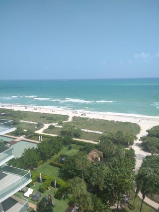 Photo of Listing #A11486636