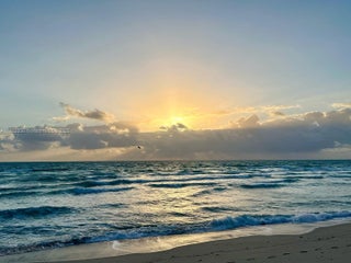 Photo of Listing #A11822356