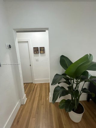 Photo of Listing #A11856202