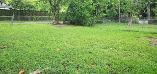 Photo of Listing #A11856499