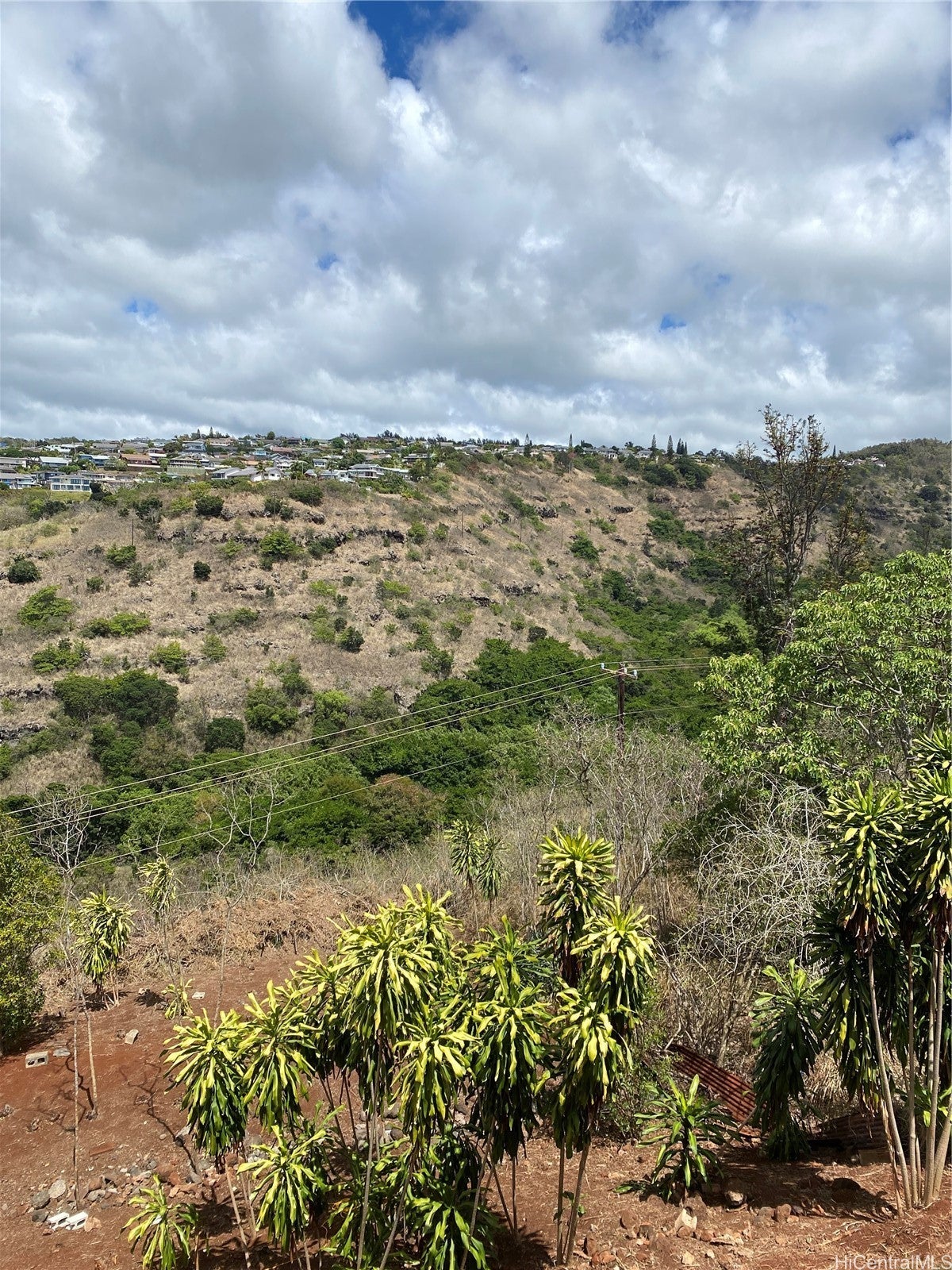 Photo of Listing #202521604