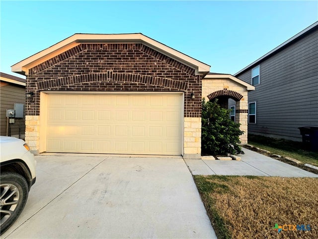 334 Mistflower, New Braunfels