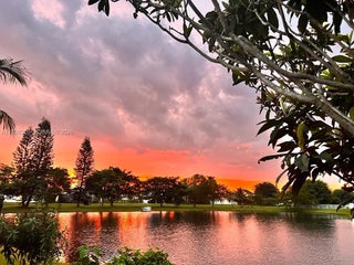 Photo of Listing #A11939378