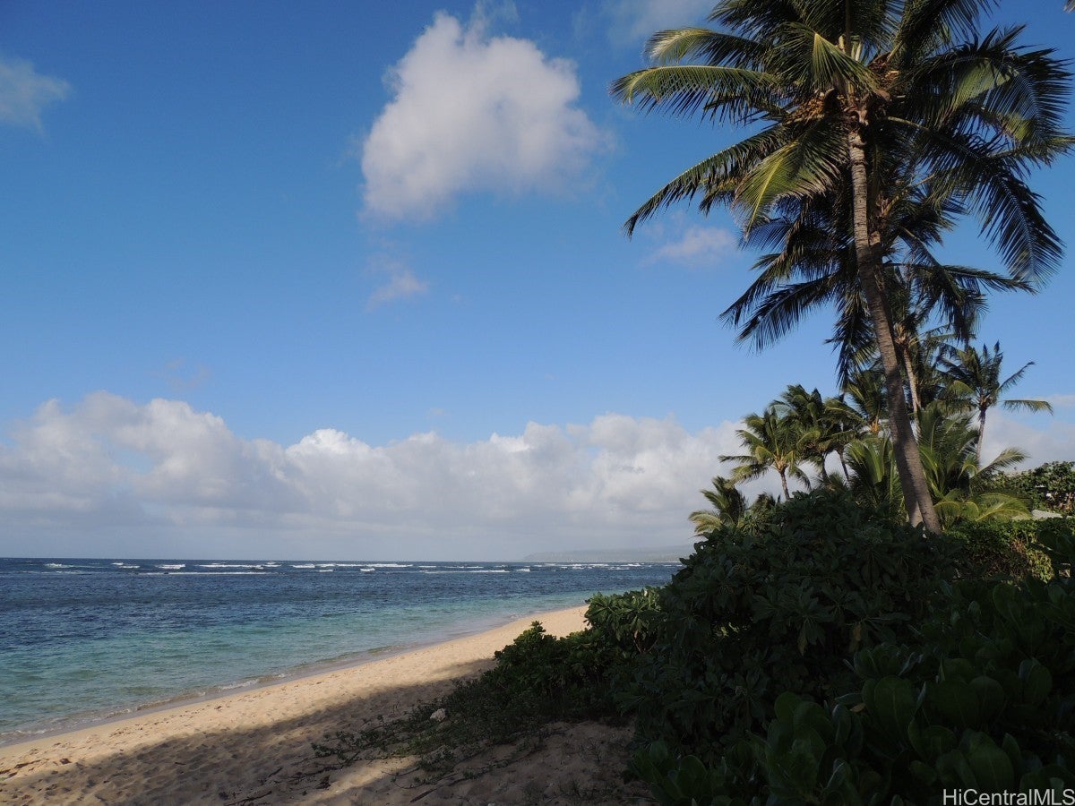 Photo of Listing #202528171