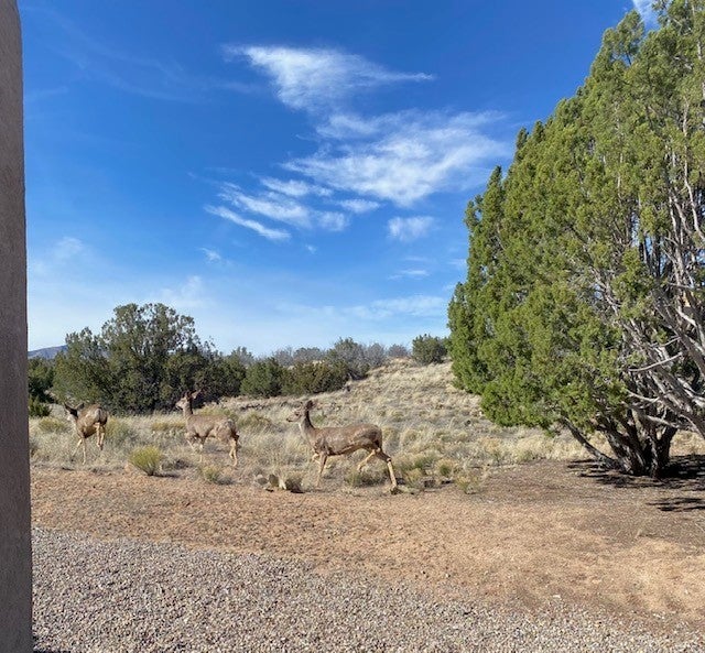 6516 Horseshoe Drive, Cochiti Lake Property Listing MLS® 202400189