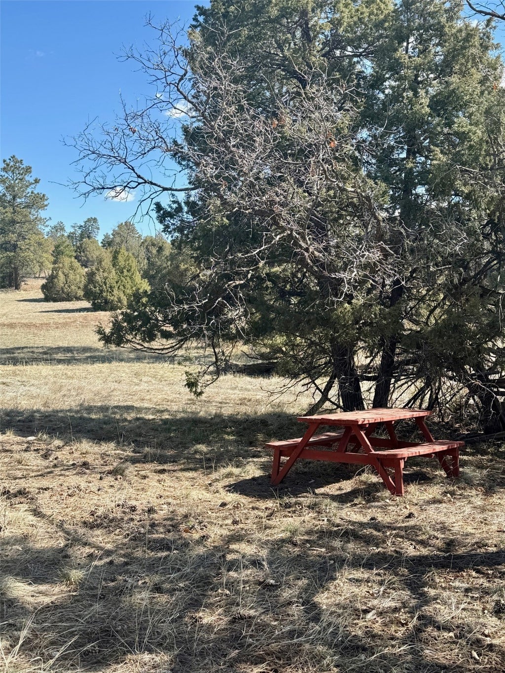 14 Doe Run Loop, Rutheron Property Listing MLS® 202401352