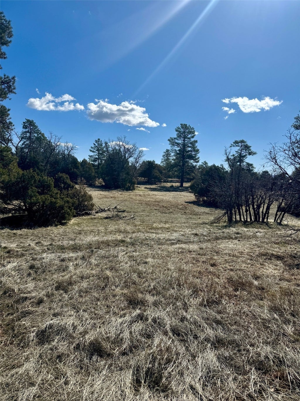 14 Doe Run Loop, Rutheron Property Listing MLS® 202401352