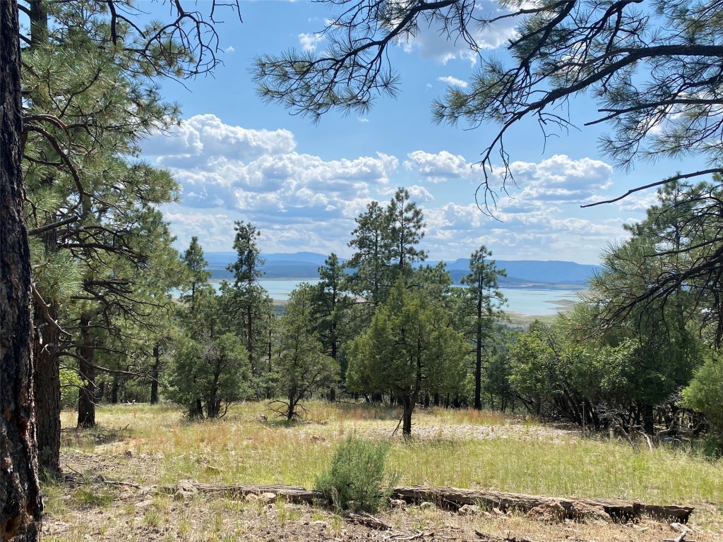 56a Elk Lane, Los Ojos Property Listing MLS® 202403933