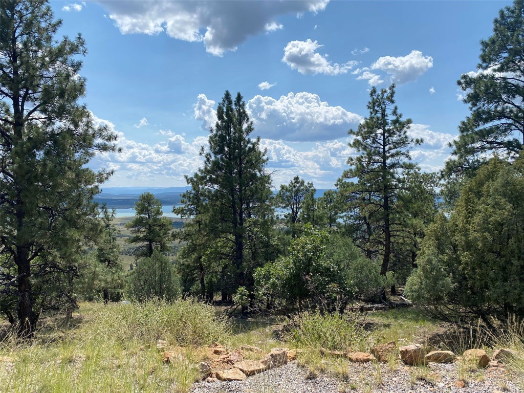 56a Elk Lane, Los Ojos Property Listing MLS® 202403933