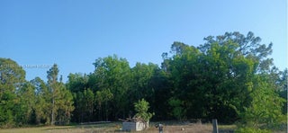 Photo of Listing #A11788182